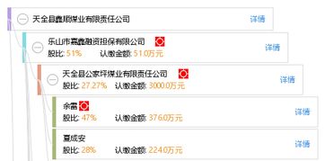 天全县鑫顺煤业有限责任公司 中兴顺鑫 区域煤炭产业的支柱与转型探索