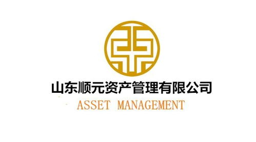 山东顺元资产管理与中兴顺鑫 业务模式与发展路径浅析